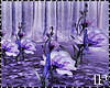 Spring Purple Flowers