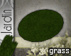 [MGB] J! Grass
