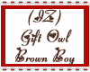 (IZ) Gift Owl Brown Boy