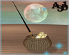A3D* Basket Fishing