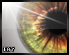 Eyescapes - Insanity F