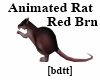 [bdtt] Red Brown Rat