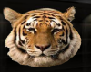 tigers head rug