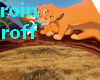 Dome Roi Lion