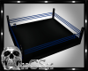 CS Fighter Boxing Ring