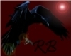 Raven skin