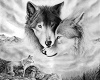 Black and White wolves