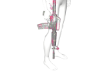 RAZZLE DAZZLE AR-15