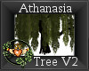 ~QI~ Athanasia Tree V2