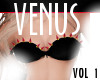 Venus | VOL 1 Studded