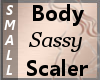 Body Scaler Sassy S