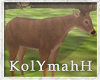 KYH | TreeHouse deer