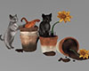 Pet Cats in Flower Pots