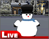 !live-Snow Man