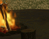 [S4] Picnic + bonfire