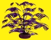 purple palm plant