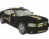 Carro Policia Federal 2