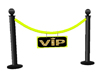 VIP Rope Barrier