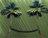 Palm Trees w/ Hammock