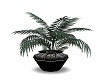 Zebra Vase with Plant