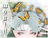 . Butterfly Monarch Hair