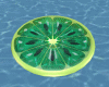 Kiwi Pool Floater