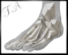 TA`Bag Of Bones Feet M