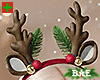 Reindeer Antlers