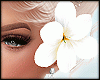 Fade Hair Flowers