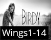 Birdy - wings bootleg