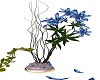 ~CBD~Blue Orchid Plant