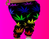 (MP) Stem Rnbw Weed Pant