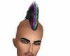 Rainbow Rufiohawk