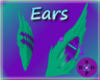 .: Zally Ears 1 :.