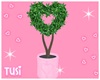 Heart Plant ♡