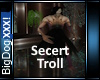 [BD]Secert Troll