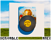 ♚ Vinyl with disc v2