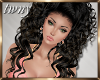 Daniello Black Latte