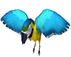 Ocean's Blue Parrot