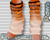 PIX Bengal Tigger Feet'