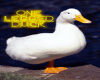 One Legged Duck Sign