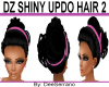 DZ SHINY UPDO HAIR 2