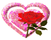 sticker  pink