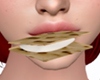 S'more