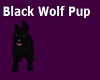 Black Wolf Pup