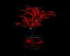 Shadow Red Wolf Plant