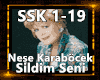 Sildim Seni-N.Karaböcek
