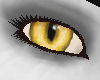 yellow cat eyes