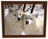 White Wolf Couple