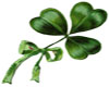 Shamrock Sticker